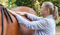 Pferdeosteopathie Schneverdingen