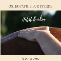 Pferdeosteopathie in Buchholz in der Nordheide
